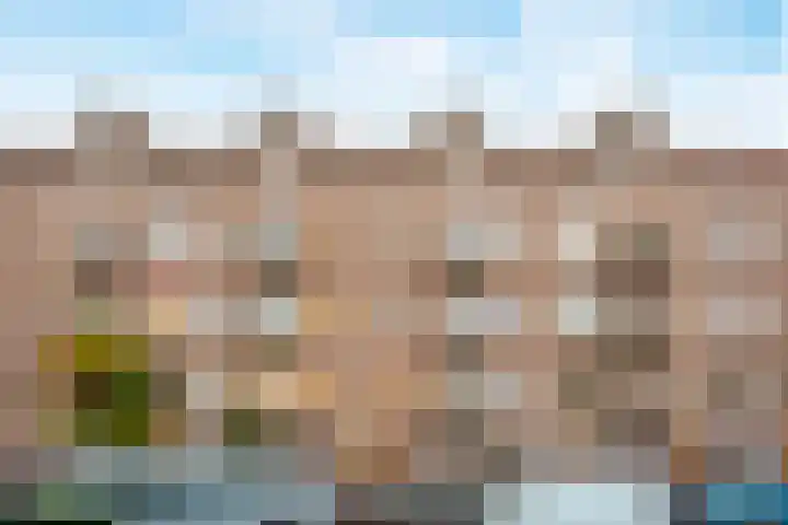 J.J. Cremerplein 44 H Amsterdam thumbnail 24