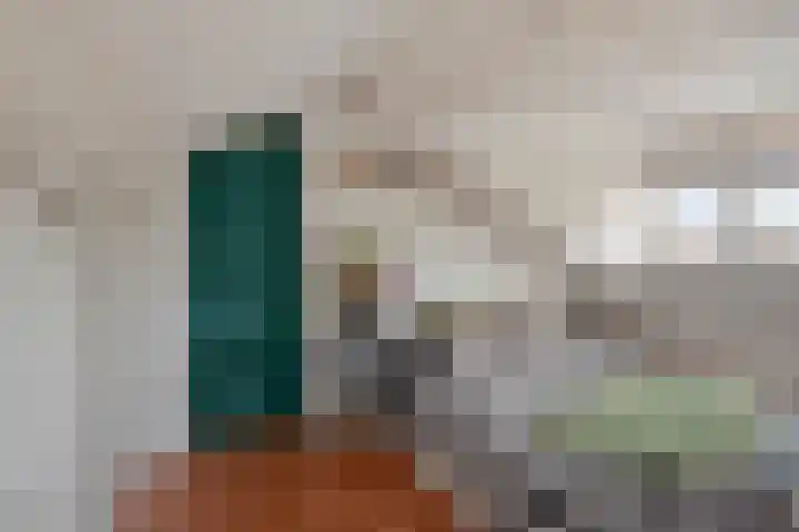 J.J. de Vlamstraat 38 Best thumbnail 33