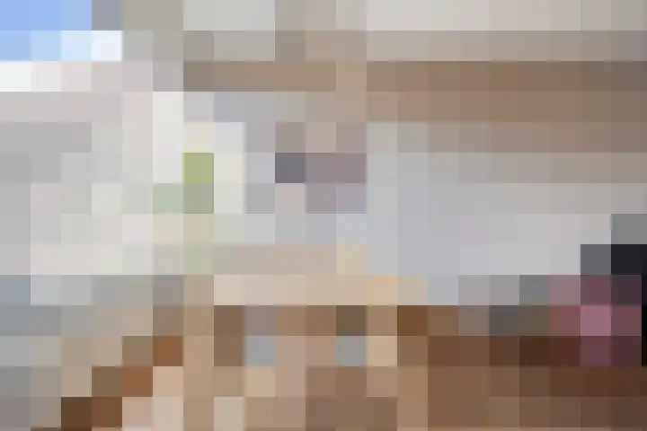 J.J. de Vlamstraat 52 Best thumbnail 17