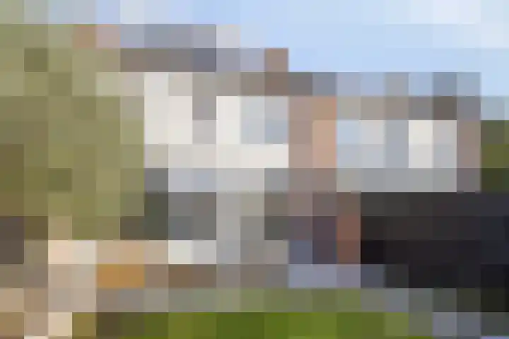 J.J. de Vlamstraat 52 Best thumbnail 40
