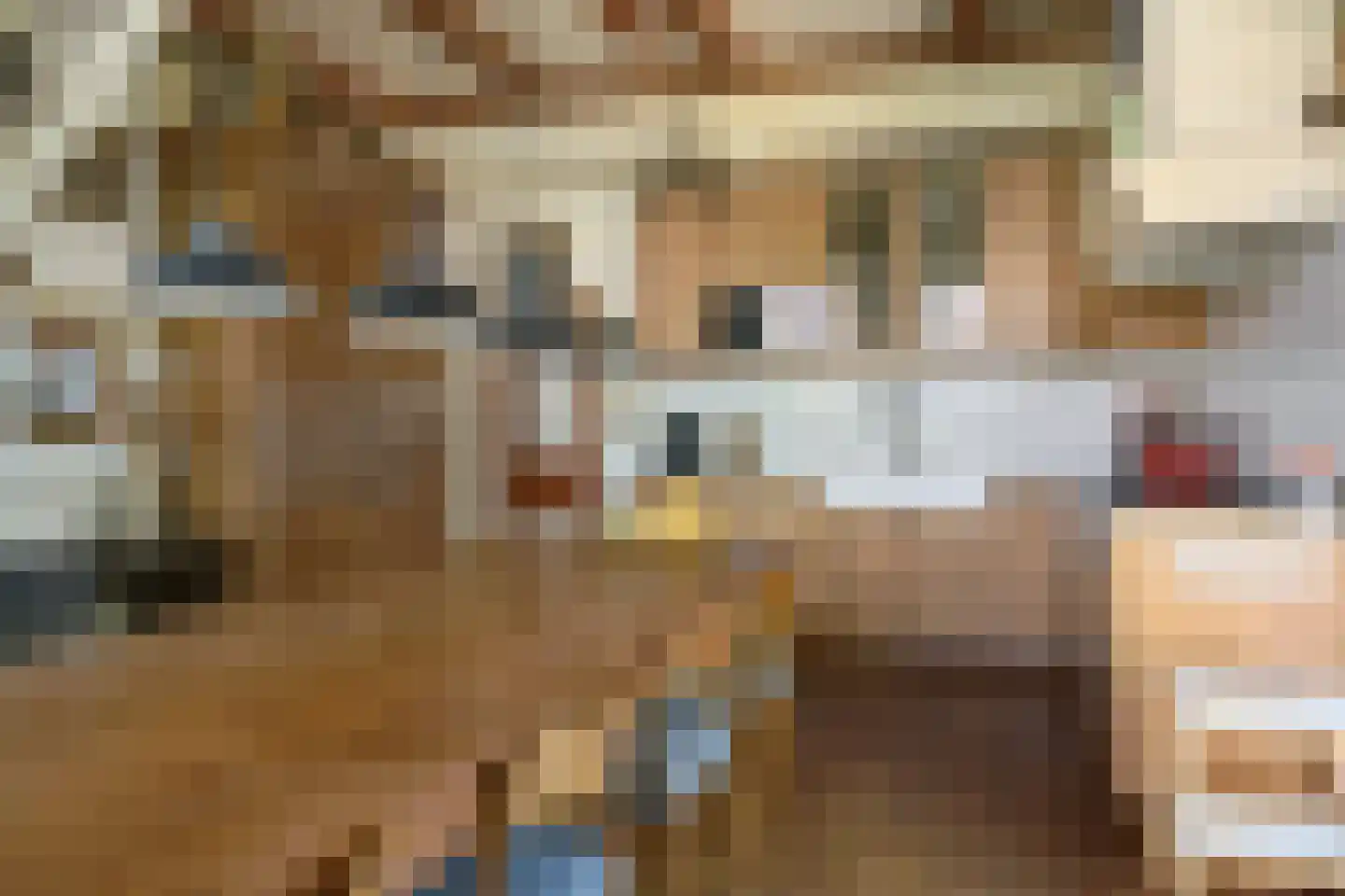 J.J.Hofstrjitte 6 Gaastmeer thumbnail 13