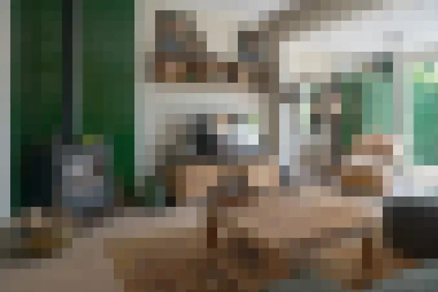 J.J.Hofstrjitte 6 Gaastmeer thumbnail 14