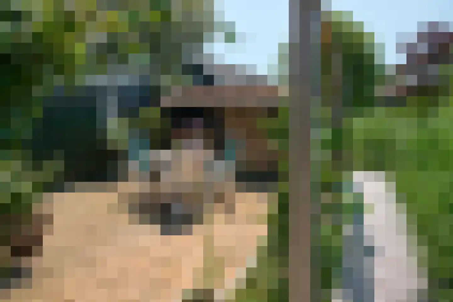 J.J.Hofstrjitte 6 Gaastmeer thumbnail 38