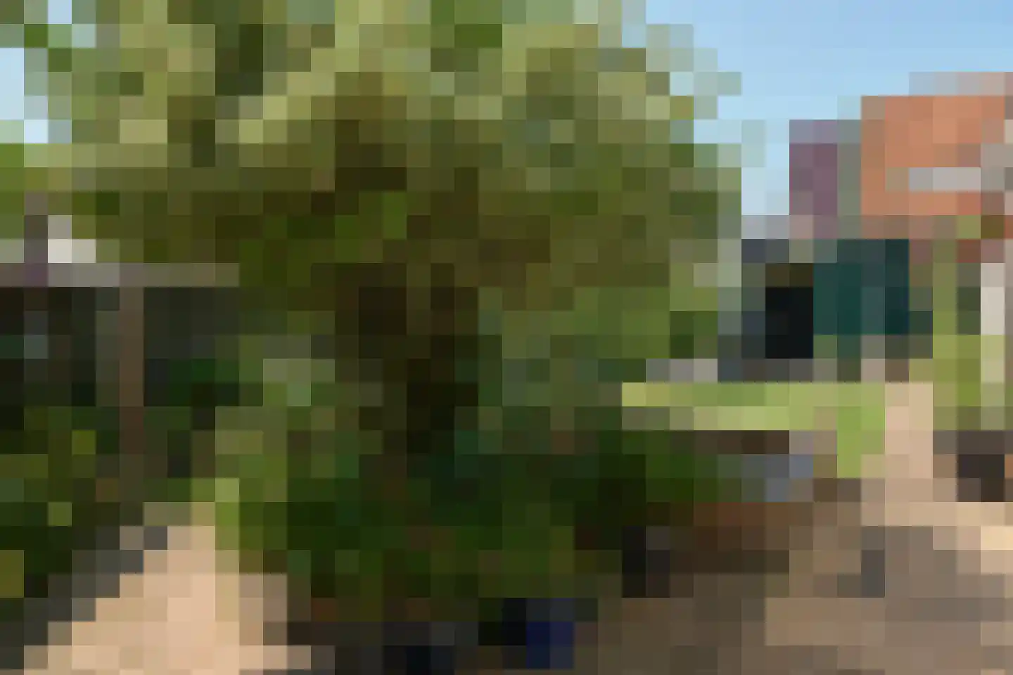J.J.Hofstrjitte 6 Gaastmeer thumbnail 41