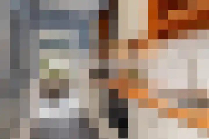 J J P Tichlerlaan 6 Vierpolders thumbnail 10