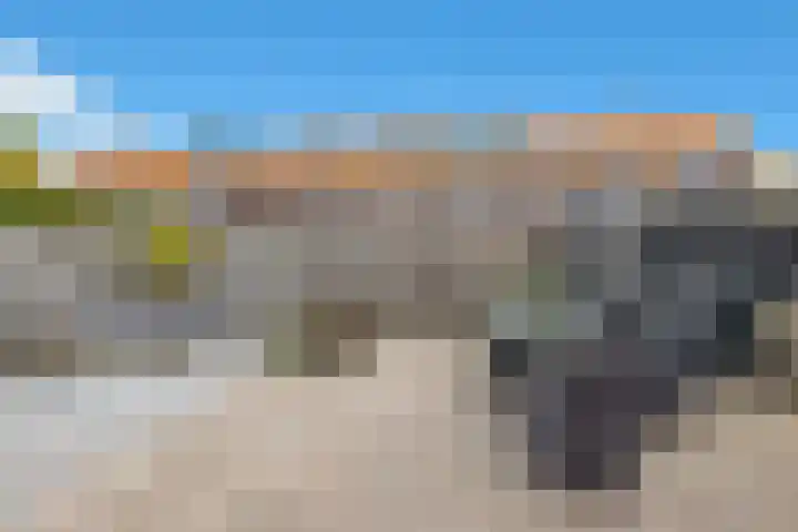 J J P Tichlerlaan 6 Vierpolders thumbnail 19