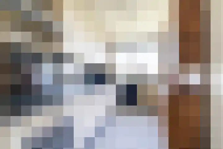 J.J. Slauerhofflaan 177 Delft thumbnail 5