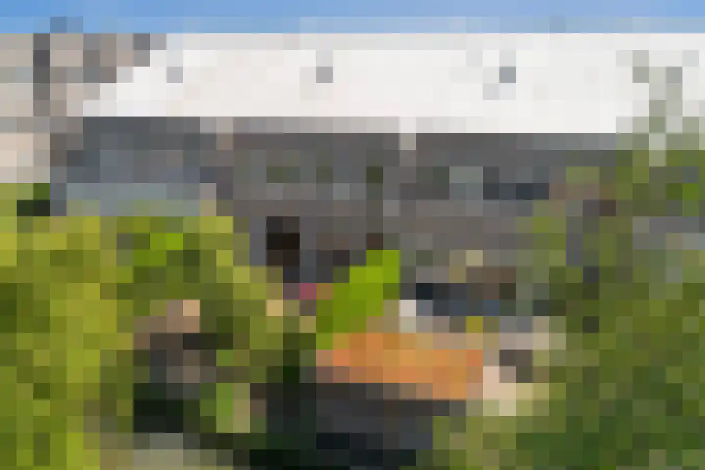 J.J. Slauerhoffplantsoen 10 Den Haag thumbnail 4