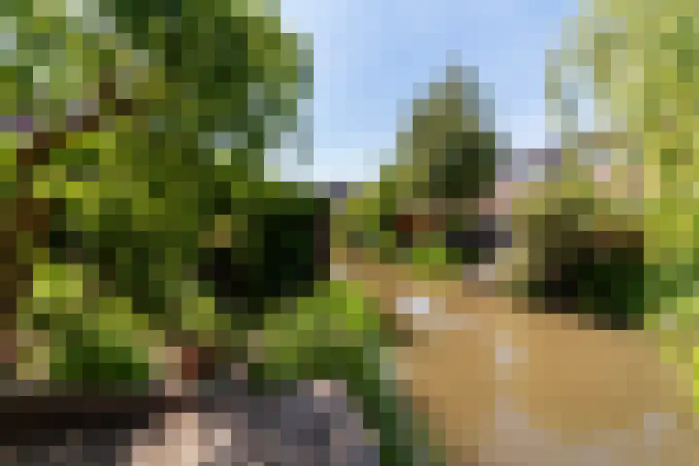 J.J. Slauerhoffplantsoen 10 Den Haag thumbnail 40