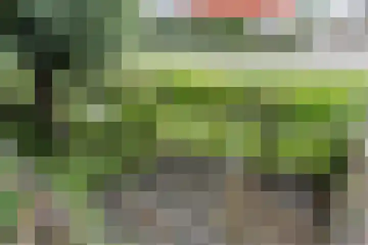 J.J. Slauerhoffplantsoen 11 Den Haag thumbnail 39