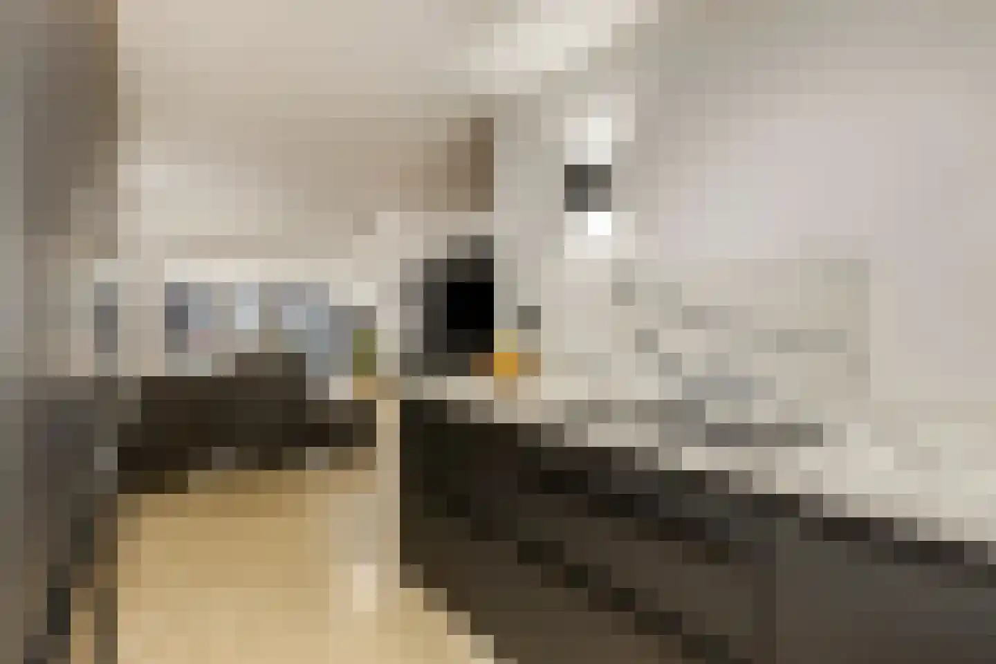 J.J. Slauerhoffstraat 221 Almere thumbnail 15