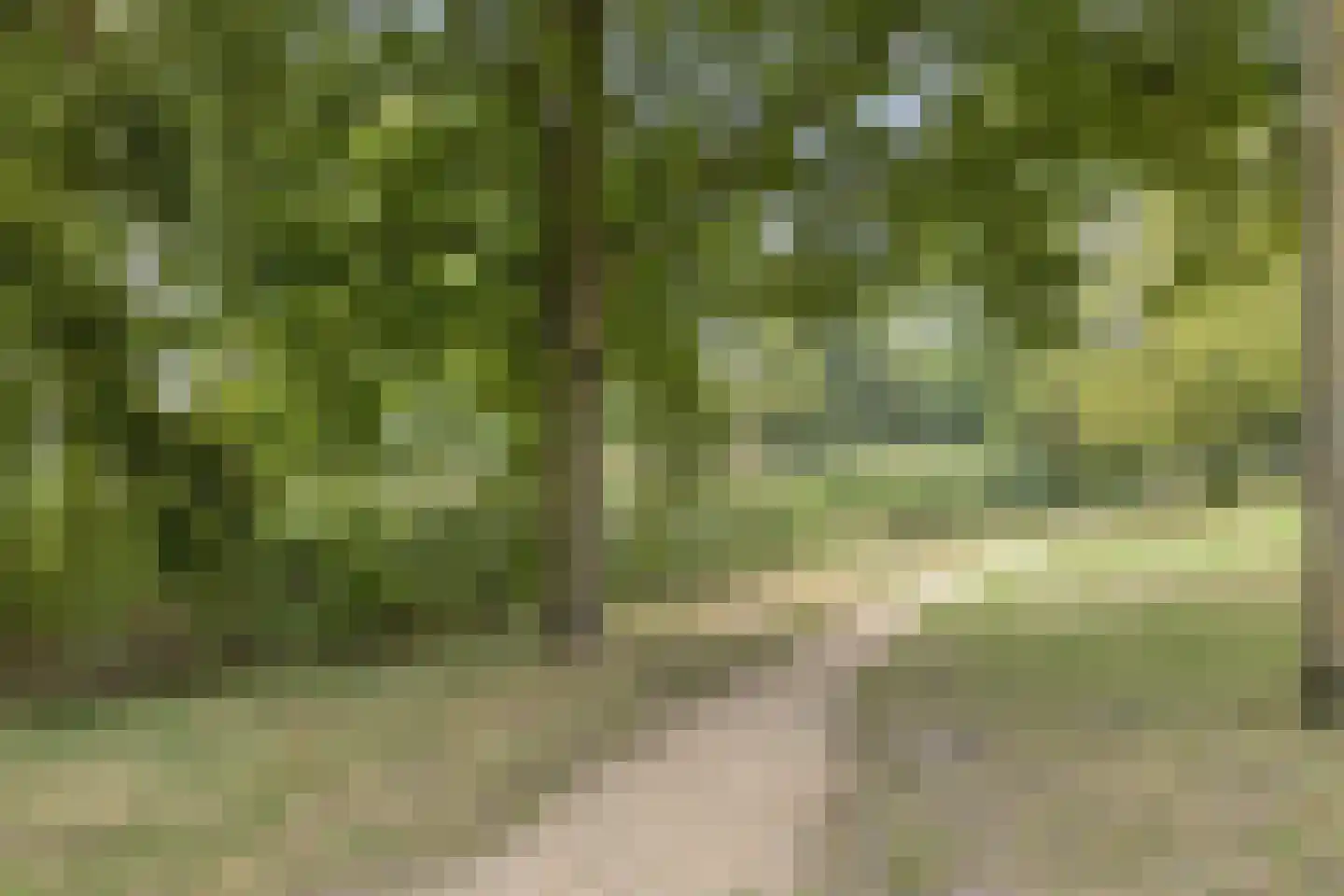 J.J. Slauerhoffstraat 63 Almere thumbnail 38