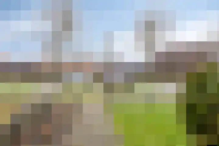 J.J. van Deinselaan 133 Enschede thumbnail 31