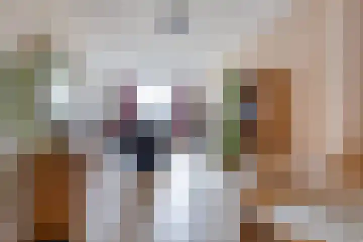 J.J. van Deinselaan 133 Enschede thumbnail 5