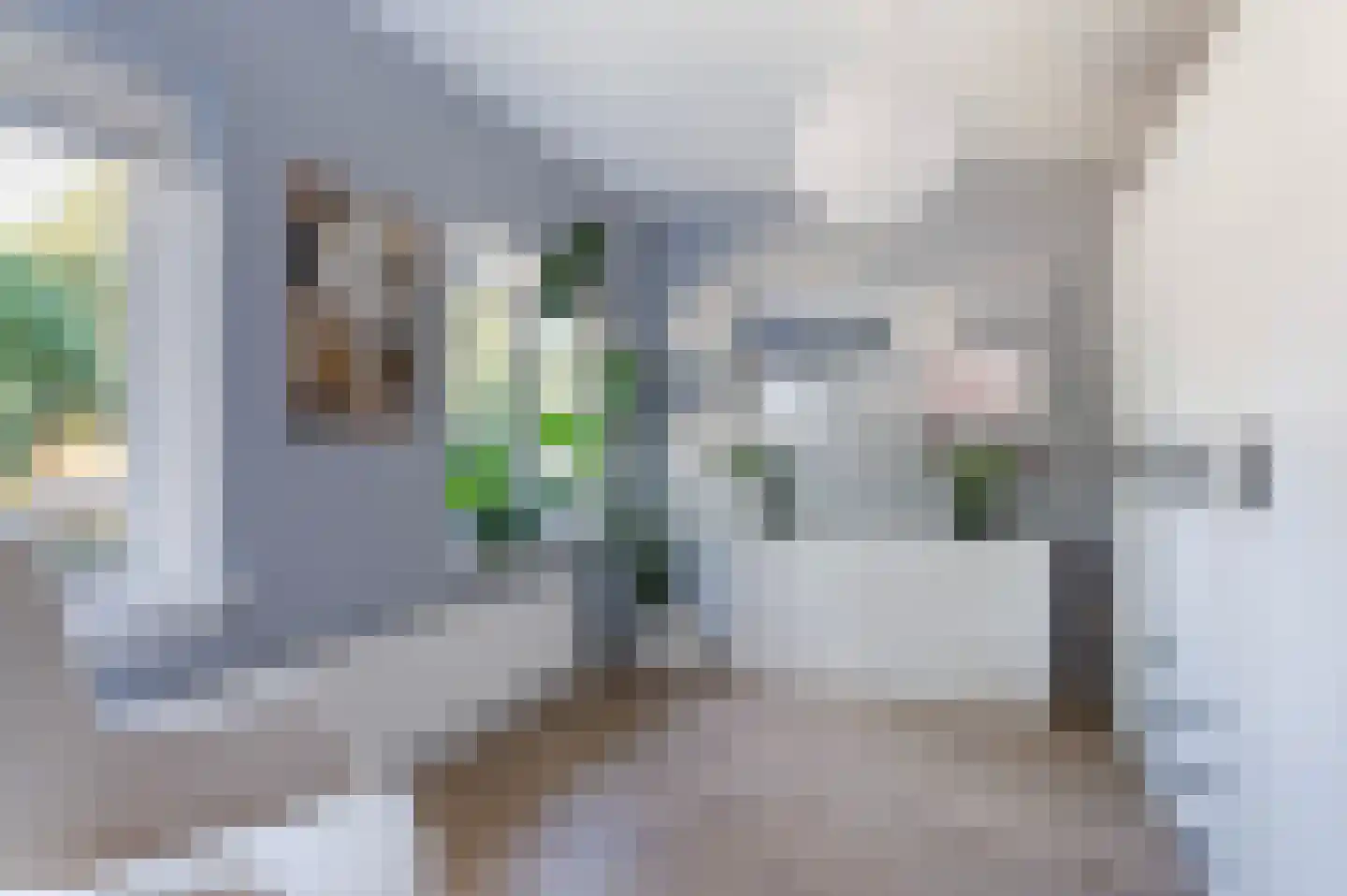 J.J. van Deinselaan 141 Enschede thumbnail 16