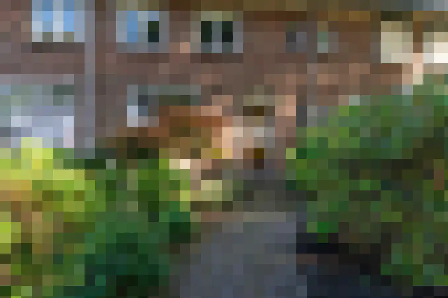 J.J. van Deinselaan 141 Enschede thumbnail 5