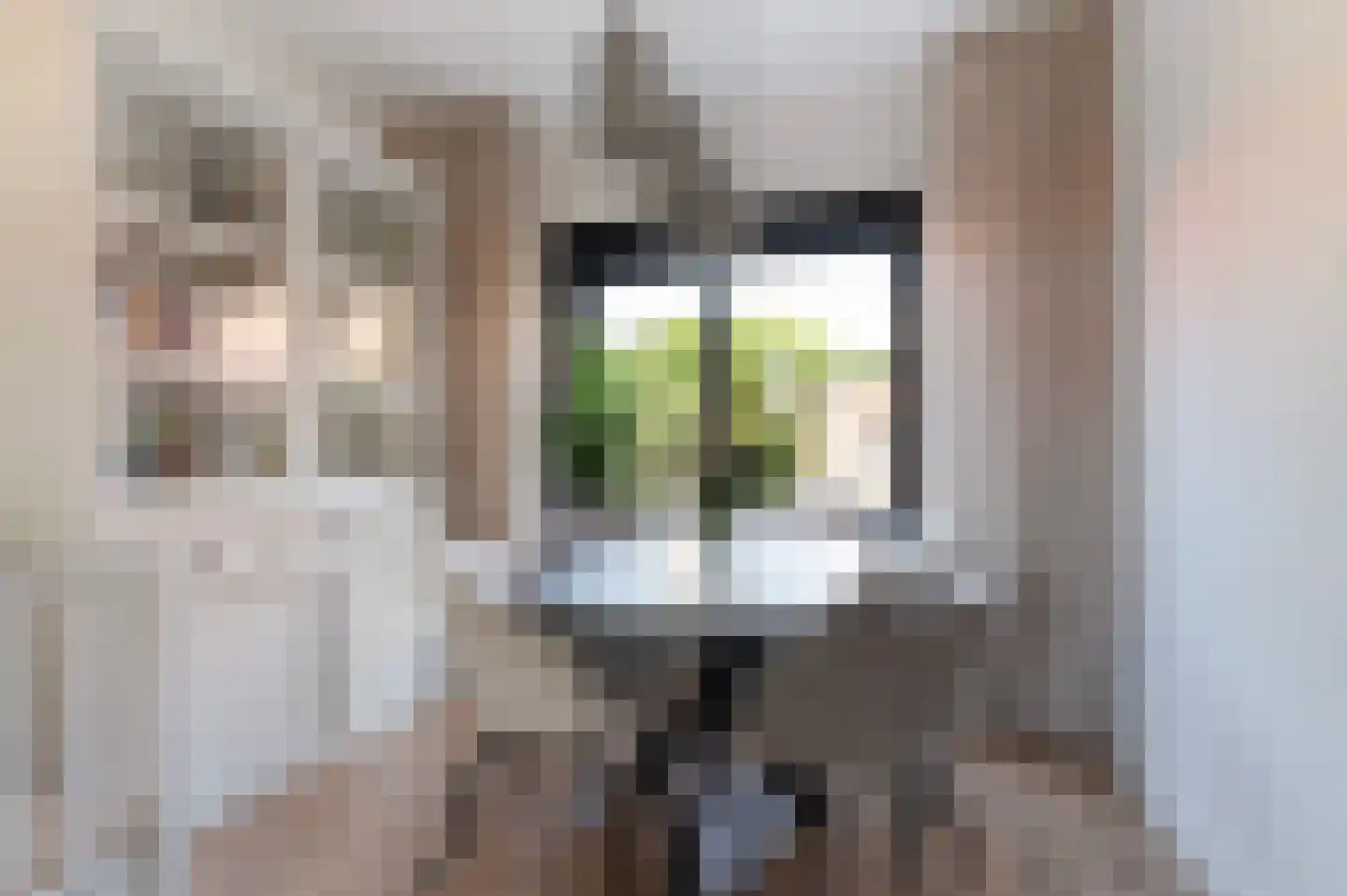 J.J. van Deinselaan 141 Enschede thumbnail 8