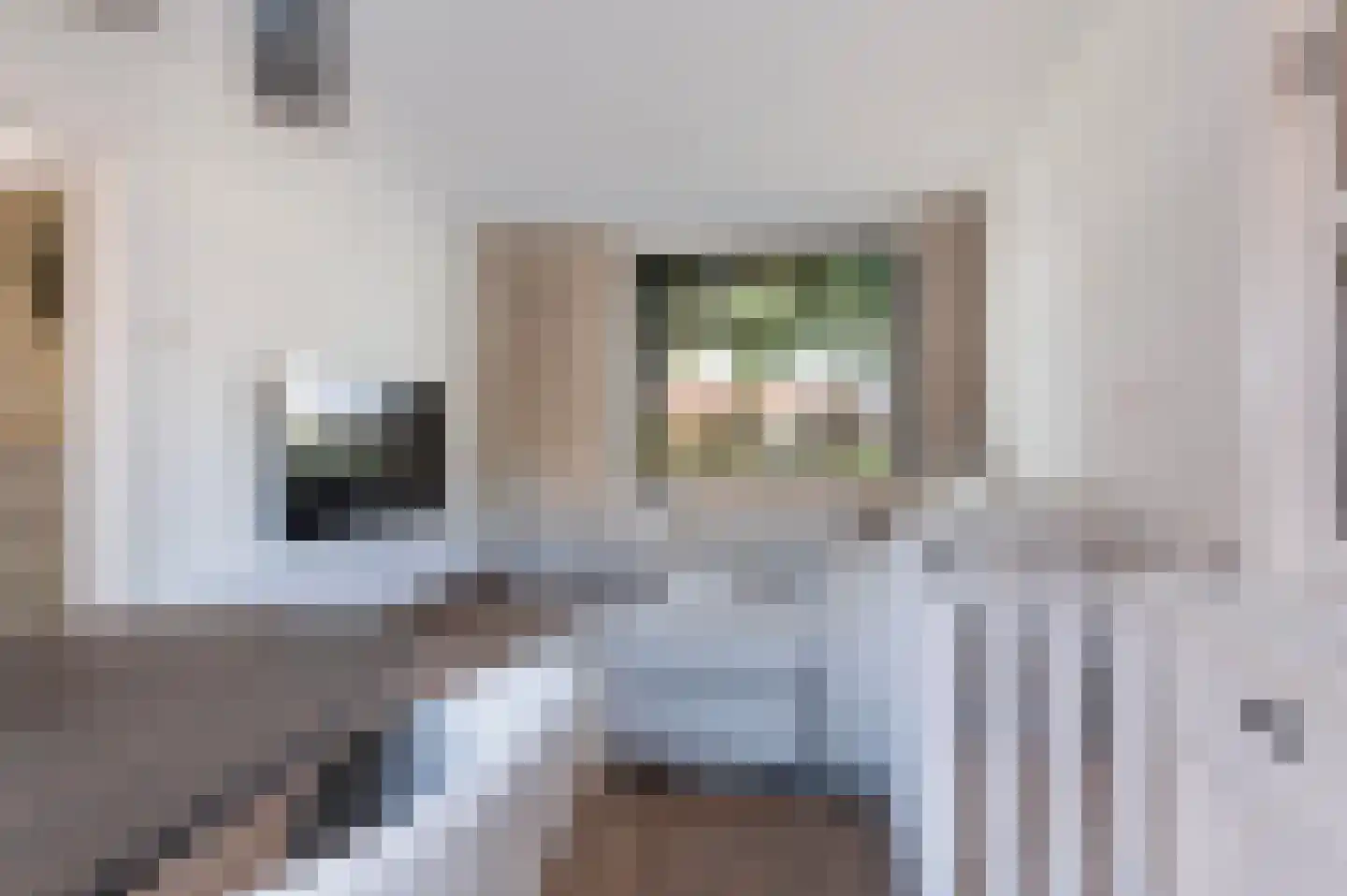 J.J. van Deinselaan 141 Enschede thumbnail 9