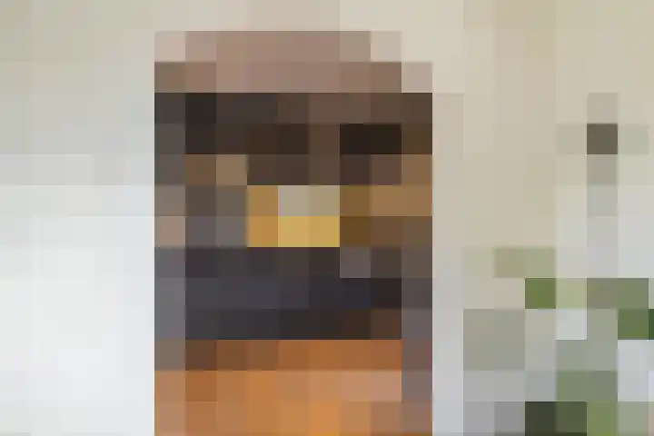 J.J. van Deinselaan 19 Almelo thumbnail 10