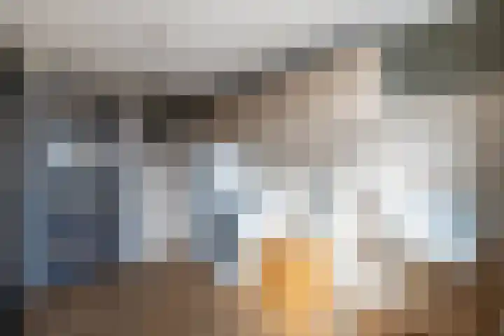 J.J. van Deinselaan 19 Almelo thumbnail 13