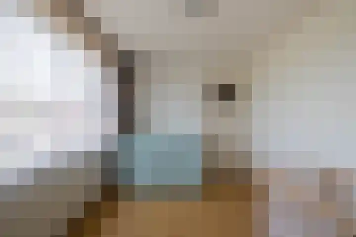 J.J. van Deinselaan 19 Almelo thumbnail 17