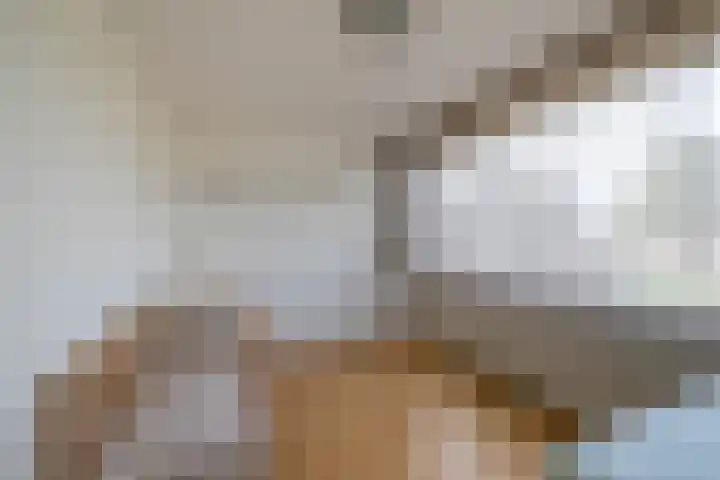 J.J. van Deinselaan 19 Almelo thumbnail 18