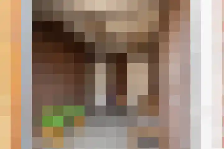 J.J. van Deinselaan 19 Almelo thumbnail 25