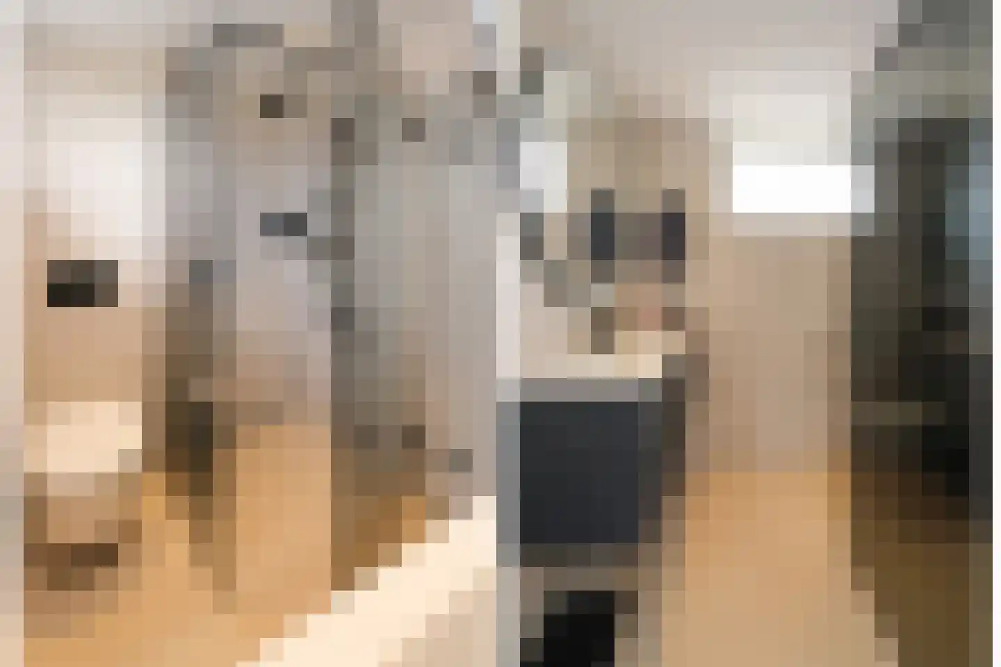 J.J. van Deinselaan 31 Almelo thumbnail 19
