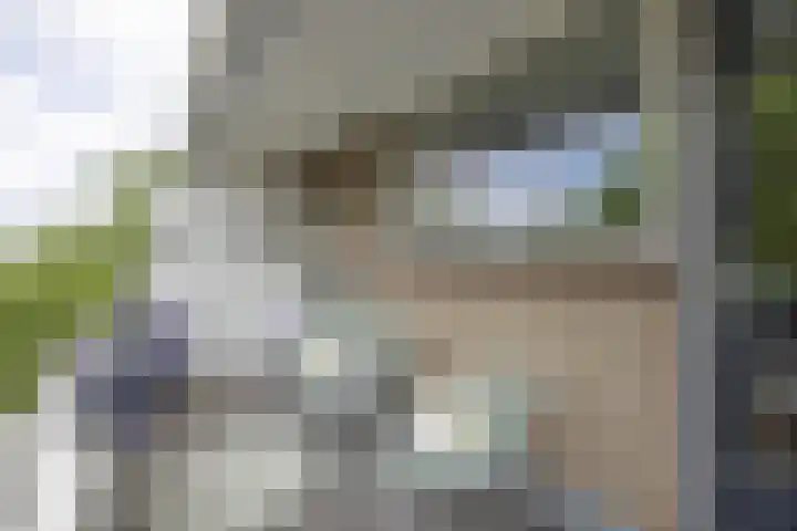 J.J. van Deinselaan 328 Enschede thumbnail 26