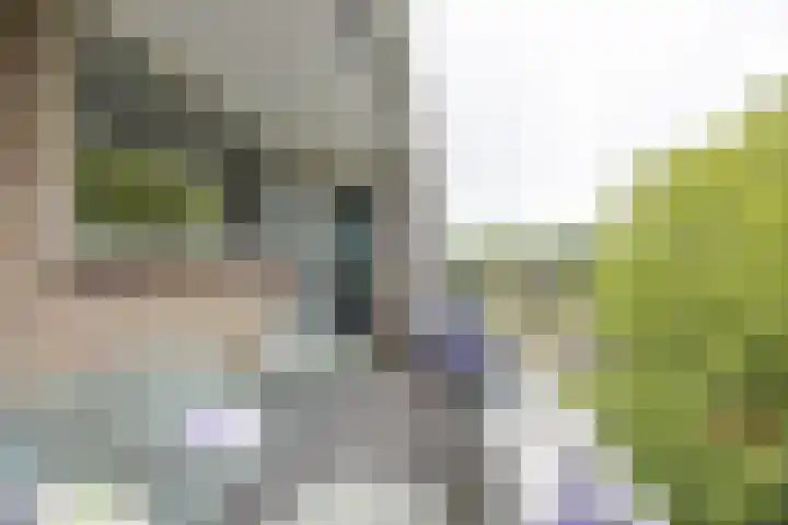J.J. van Deinselaan 328 Enschede thumbnail 27