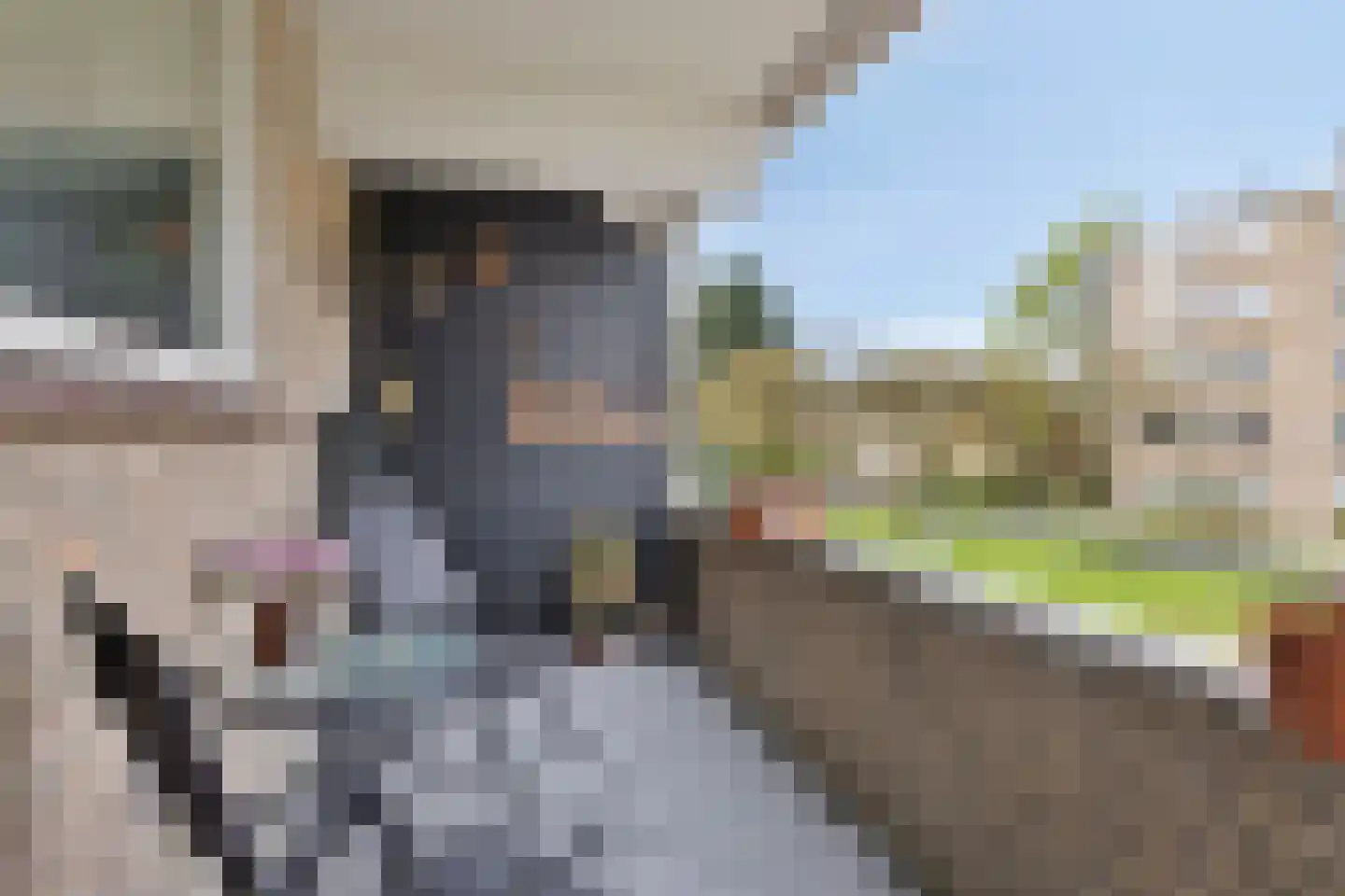 J.J. van Deinselaan 358 Enschede thumbnail 25