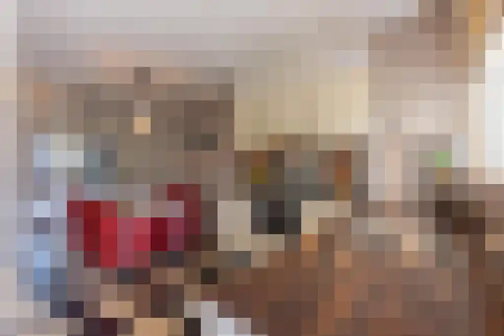 J.J. van Deinselaan 360 Enschede thumbnail 13