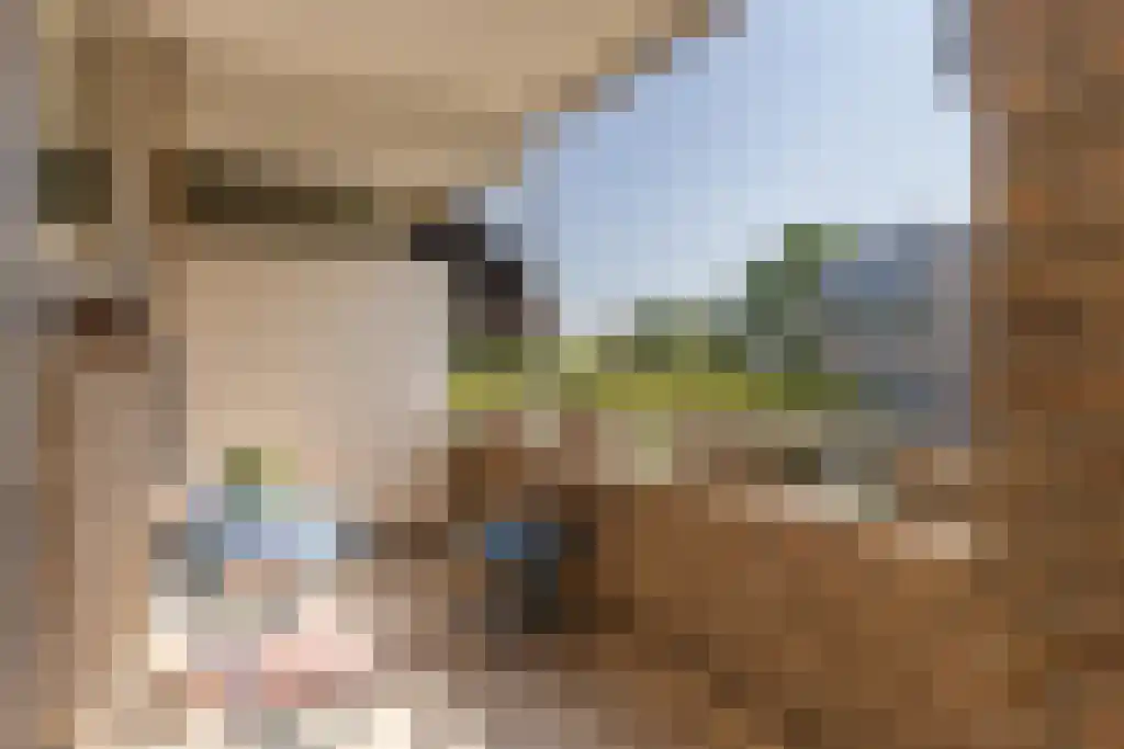 J.J. van Deinselaan 360 Enschede thumbnail 21