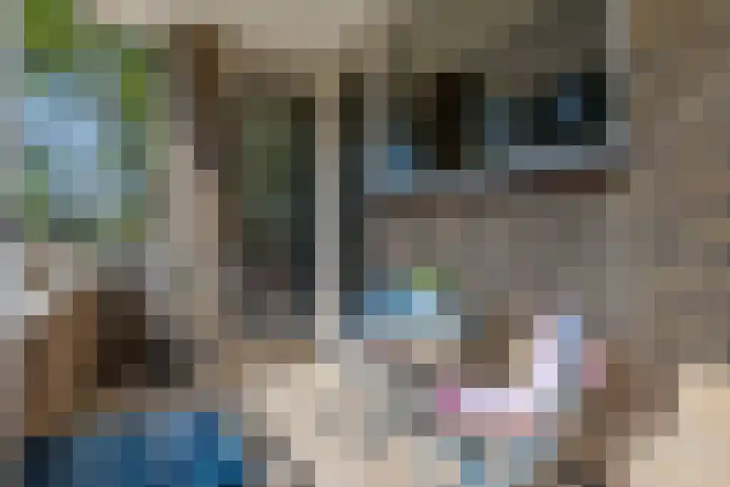 J.J. van Deinselaan 360 Enschede thumbnail 22