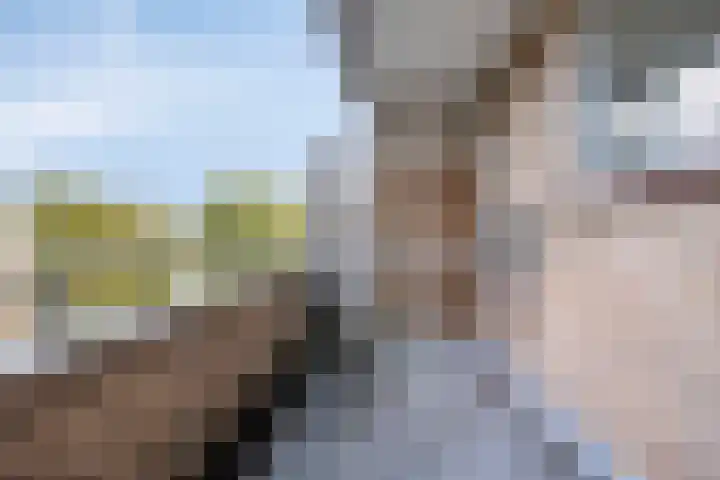 J.J. van Deinselaan 388 Enschede thumbnail 28