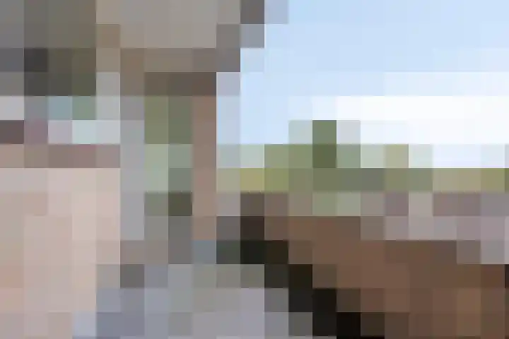 J.J. van Deinselaan 388 Enschede thumbnail 29