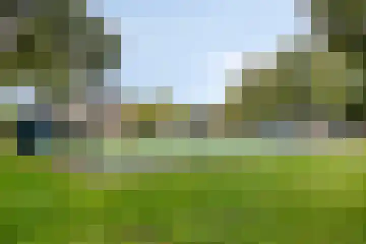 J.J. van Deinselaan 388 Enschede thumbnail 31