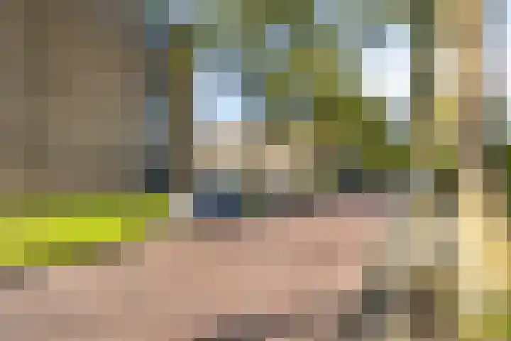 J.J. van Deinselaan 388 Enschede thumbnail 7