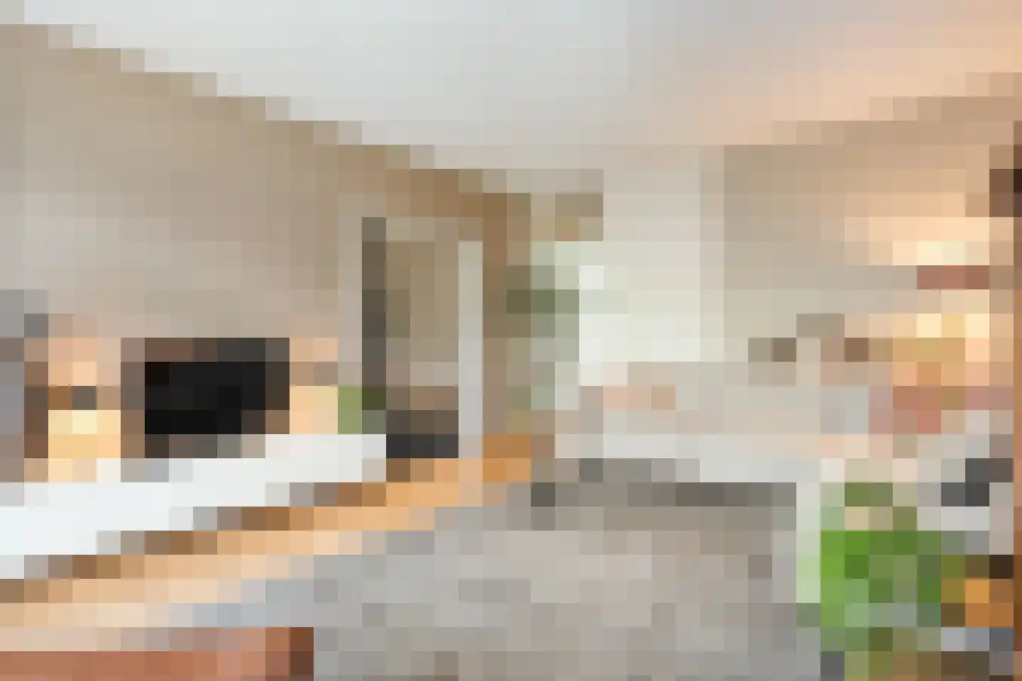 J.J. van Deinselaan 418 Enschede thumbnail 16