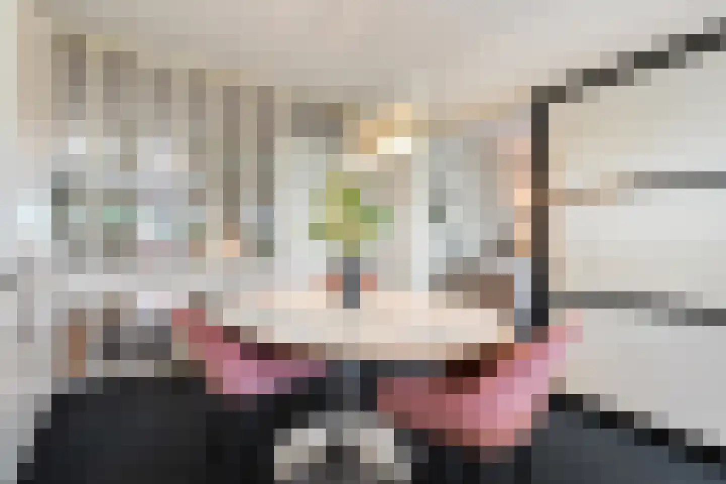 J.J. van Deinselaan 418 Enschede thumbnail 23