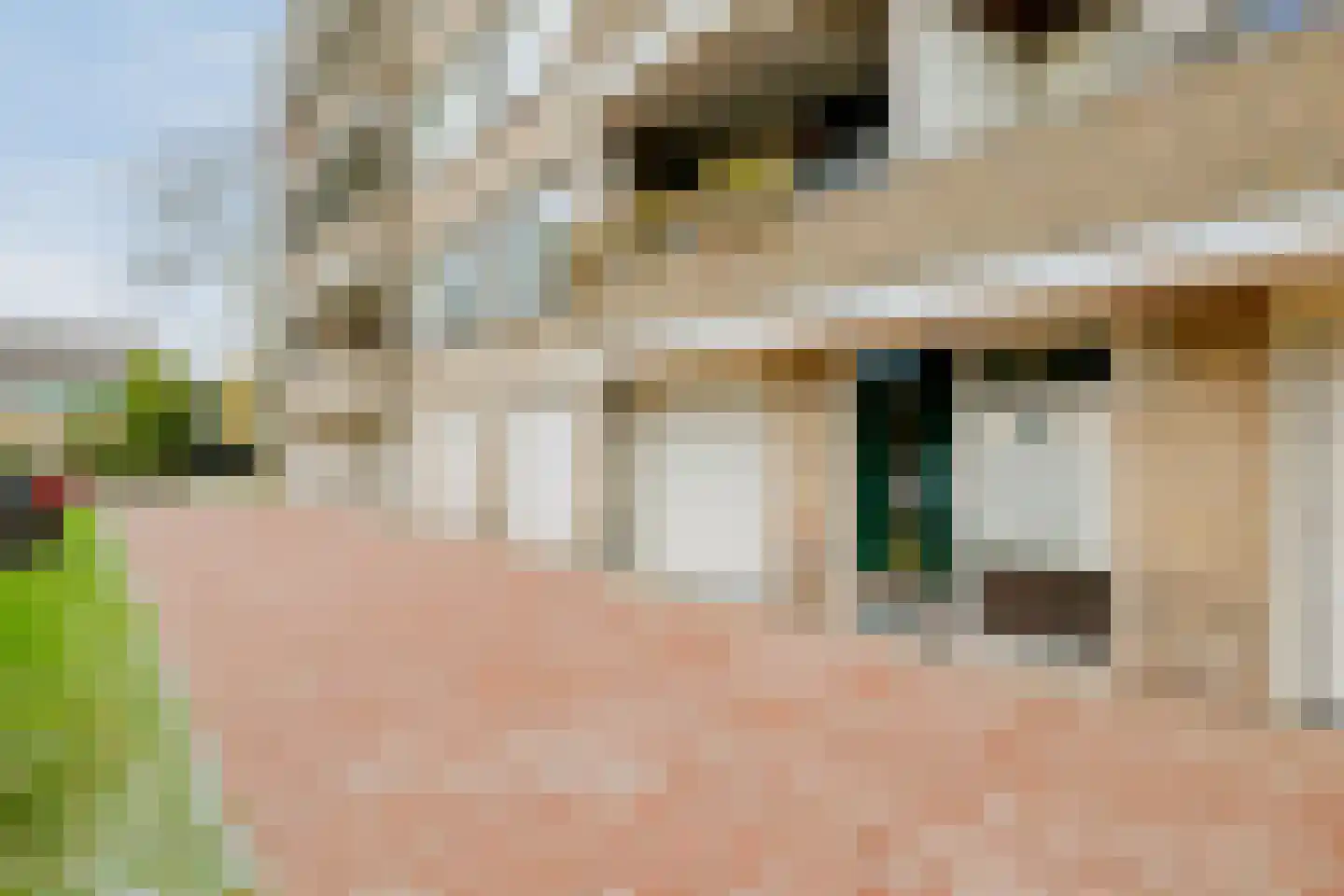 J.J. van Deinselaan 436 Enschede thumbnail 10