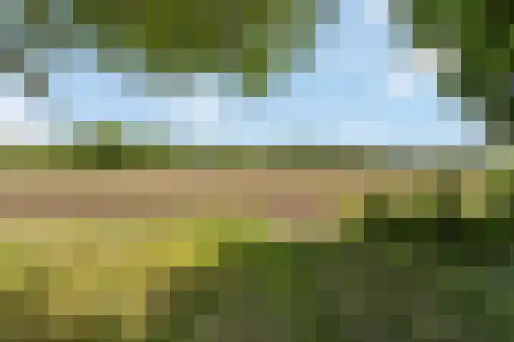 J.J. van Deinselaan 436 Enschede thumbnail 22