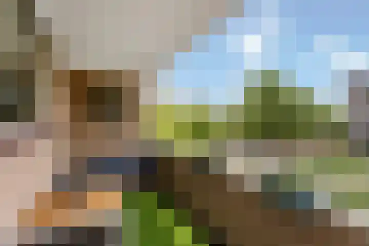 J.J. van Deinselaan 436 Enschede thumbnail 4