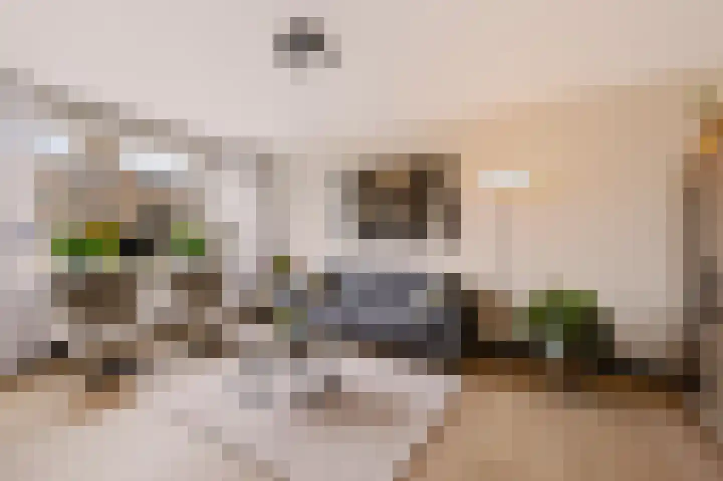 J.J. van Deinselaan 436 Enschede thumbnail 4