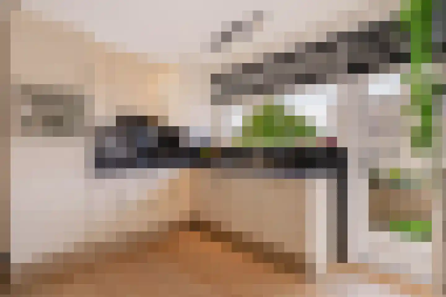 J.J. van Deinselaan 436 Enschede thumbnail 6