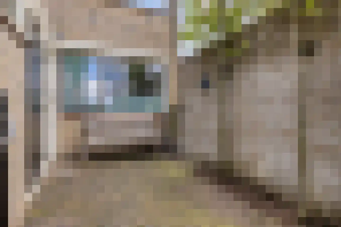 J.J. van Deinsestraat 51 Oldenzaal thumbnail 20