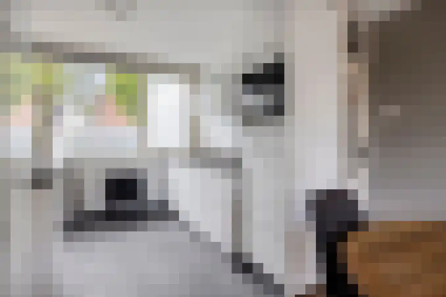 J.J. van Deinsestraat 51 Oldenzaal thumbnail 7