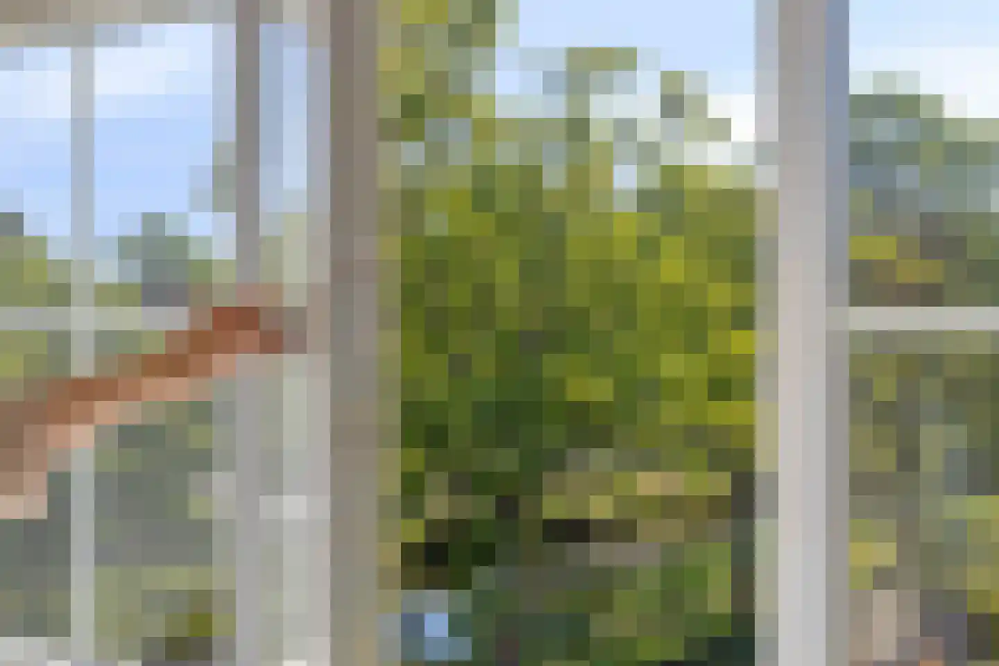 J.J. van Nesstraat 1 Castricum thumbnail 26