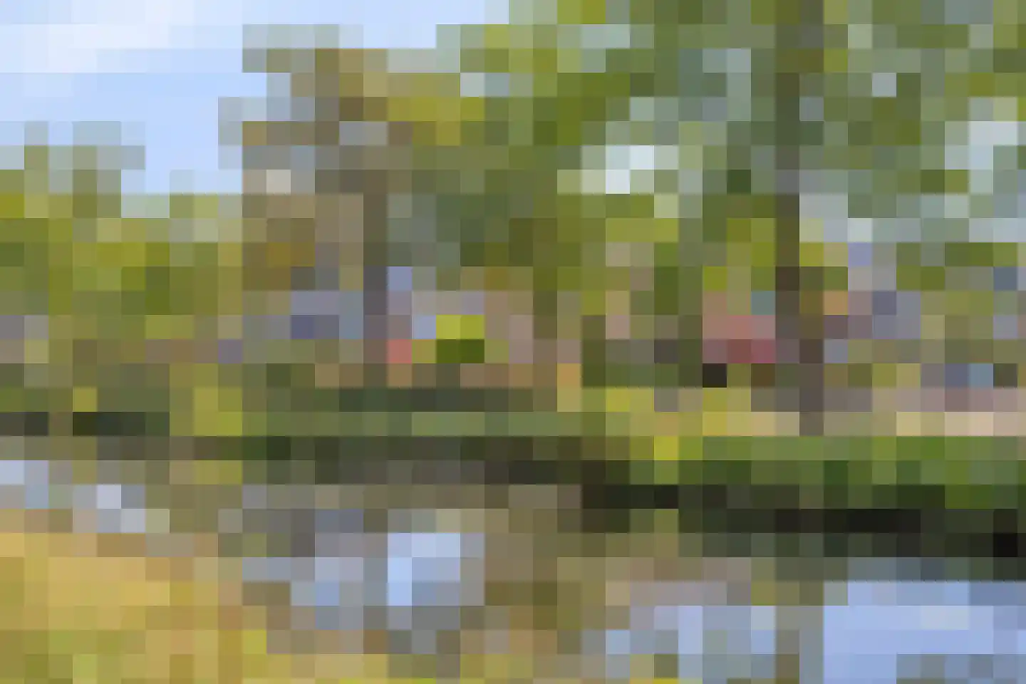 J.J. van Nesstraat 1 Castricum thumbnail 30