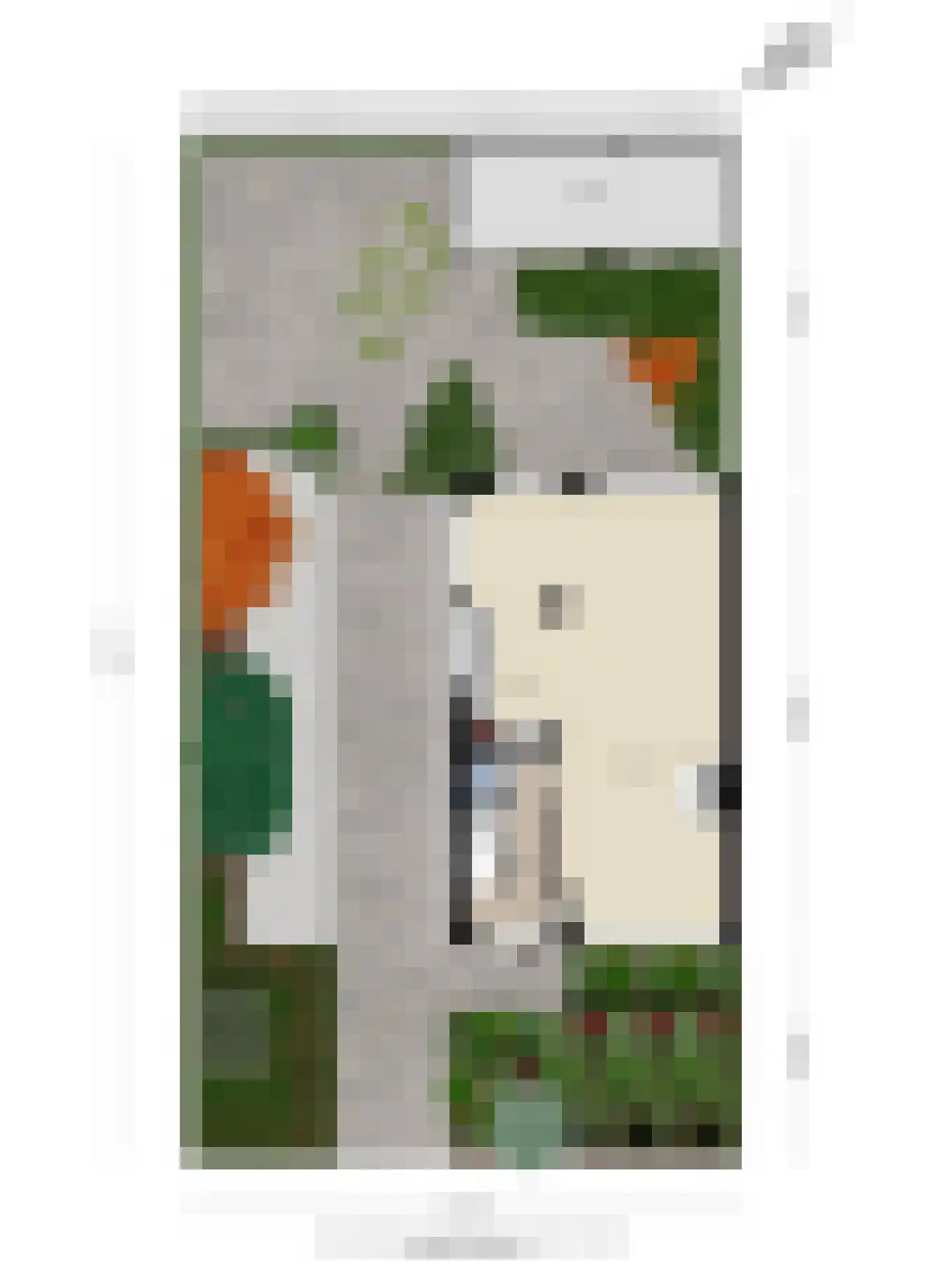 J.J. van Nesstraat 1 Castricum thumbnail 34